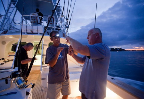 Amokura Charters - SA Accommodation 1