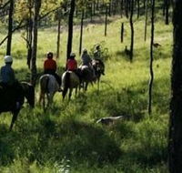 Hunter Valley Horse Riding and Adventures - SA Accommodation
