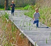 Hunter Wetlands Centre Australia - SA Accommodation 1
