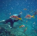 Imagine Cruises - SA Accommodation