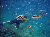 Imagine Cruises - SA Accommodation 0