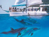Imagine Cruises - SA Accommodation 2