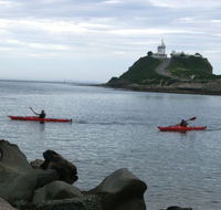 Newcastle Kayak Tours - SA Accommodation