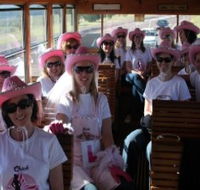 Newcastles Famous Tram - SA Accommodation