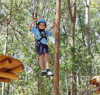 TreeTops Newcastle - SA Accommodation