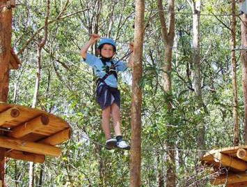 TreeTops Newcastle - SA Accommodation 0