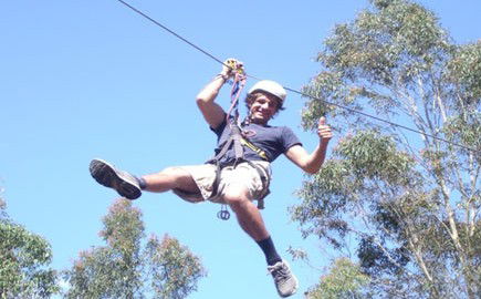 TreeTops Newcastle - SA Accommodation 1