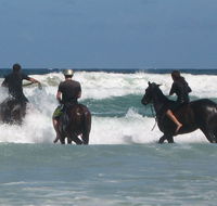 Pegasus Park Equestrian Centre - SA Accommodation