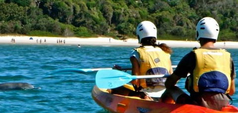 Go Sea Kayak - SA Accommodation 2