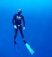 Byron Bay Dive Centre - SA Accommodation 1