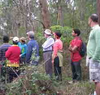 Boronia Tours - SA Accommodation