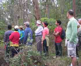 Boronia Tours - SA Accommodation 0