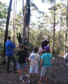 Boronia Tours - SA Accommodation 1
