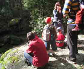 Boronia Tours - SA Accommodation 2