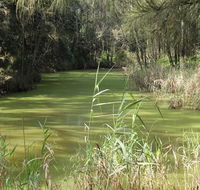 Second Ponds Creek walk - SA Accommodation