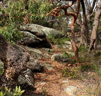 Box Head track - SA Accommodation