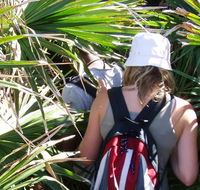 Palm Jungle loop track - SA Accommodation