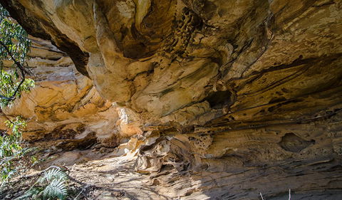 Marramarra National Park - SA Accommodation 0