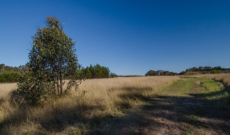 Oakville NSW SA Accommodation