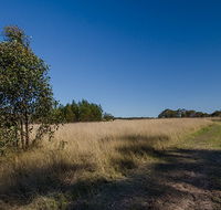Scheyville horse riding trails - SA Accommodation
