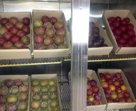 Canoelands Orchard - SA Accommodation 1
