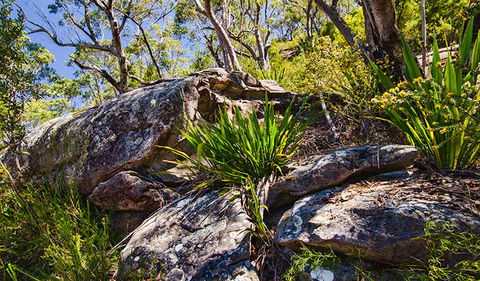 Canoelands Ridge Walking Track - SA Accommodation 1