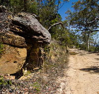Canoelands Ridge walking track - SA Accommodation