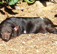 Symbio Wildlife Park - SA Accommodation