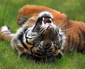 Symbio Wildlife Park - SA Accommodation 6