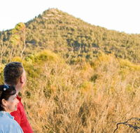 Piles Creek loop - SA Accommodation