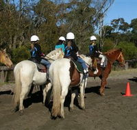 Darkes Forest Riding Ranch - SA Accommodation