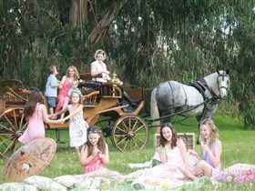 Classic Carriage Drives - SA Accommodation 1