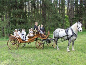 Classic Carriage Drives - SA Accommodation 0