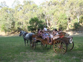Classic Carriage Drives - SA Accommodation 3