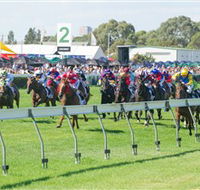 Morphettville Racecourse - SA Accommodation