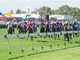 Morphettville Racecourse - SA Accommodation 0