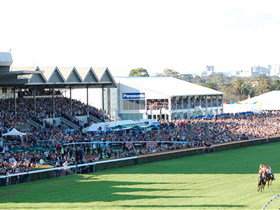 Morphettville Racecourse - SA Accommodation 1