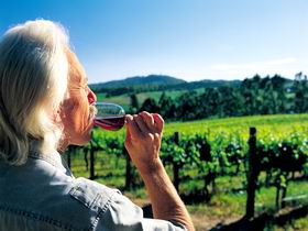 Ashton Hills Vineyard - SA Accommodation 0