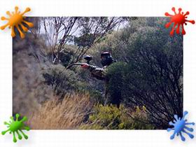 Paintball Skirmish SA - SA Accommodation 2