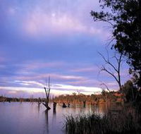 Loch Luna Game Reserve and Moorook Game Reserve - SA Accommodation