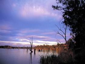 Loch Luna Game Reserve And Moorook Game Reserve - SA Accommodation 0
