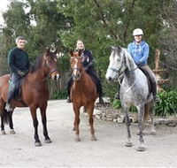 Academy of Dressage - SA Accommodation