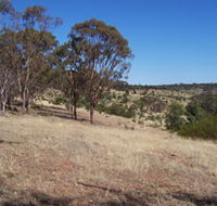Onkaparinga River National Park - SA Accommodation
