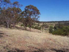 Onkaparinga River National Park - SA Accommodation 0