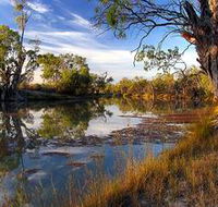 Murray River National Park - SA Accommodation