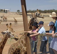 Monarto Open Range Zoo - SA Accommodation