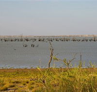 Lake Victoria - SA Accommodation