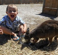 Animal Farm Goolwa - SA Accommodation