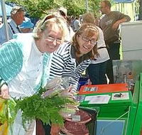 Victor Harbor Farmers Market - SA Accommodation