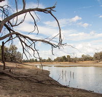 Toorale National Park - SA Accommodation